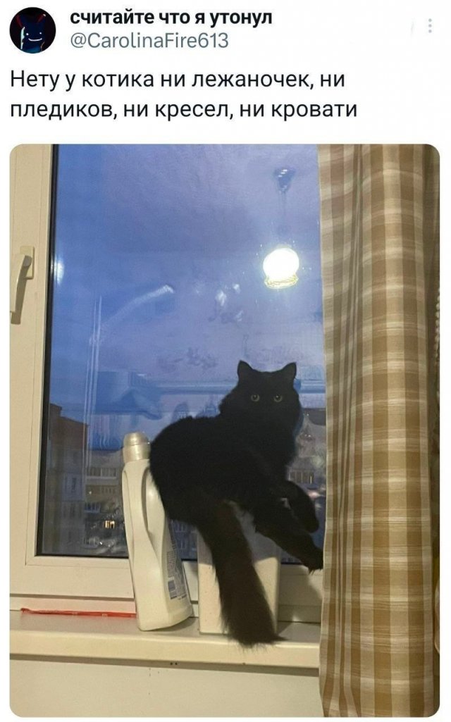 Воскресные картинки