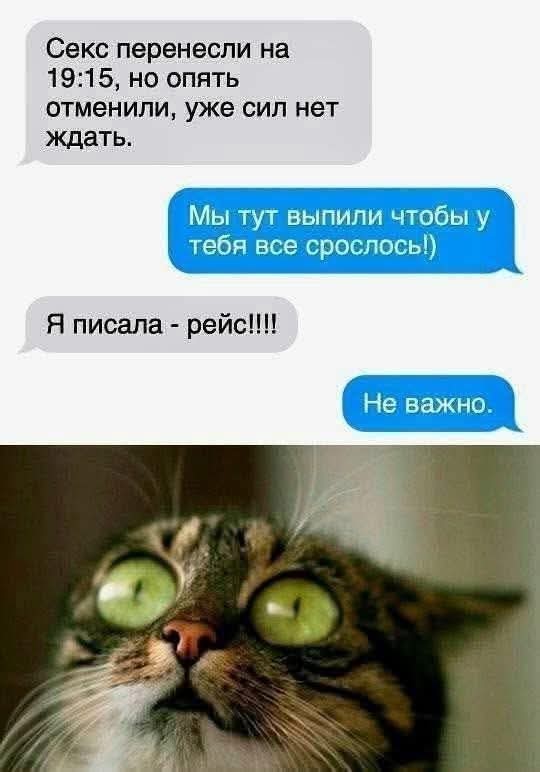 Картинки для деградации 84 (разной степени свежести)