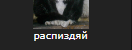 Тема о званиях