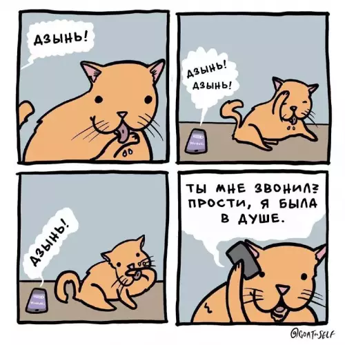 Картиночки, баянчики 11 марта