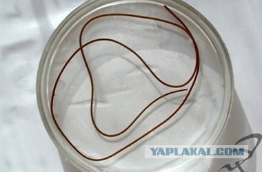Вода в бутылках - это  надувательство