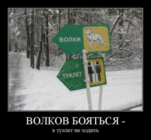 Весёлые картинки. Разбавим будни