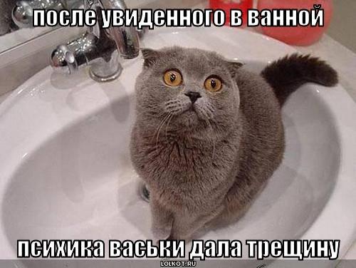 Опять играешь со своим хвостом?
