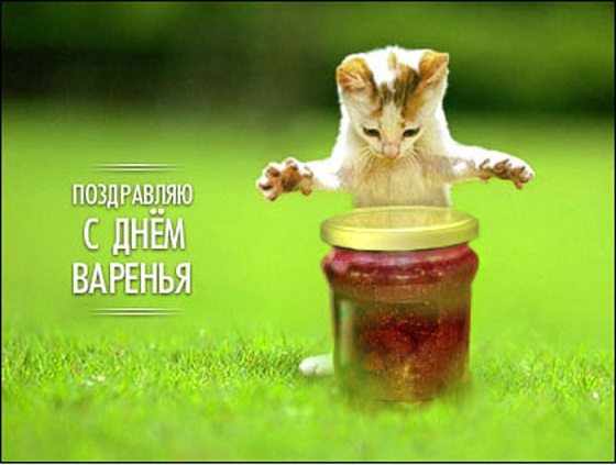 Чёрт, чёрт, чёрт!