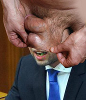 Жабы на яйценюха