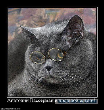 День рождения Анотолия Вассермана