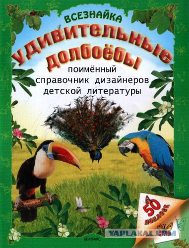 Весёлое из сети