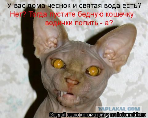 Ей холодно, а нам страшно!