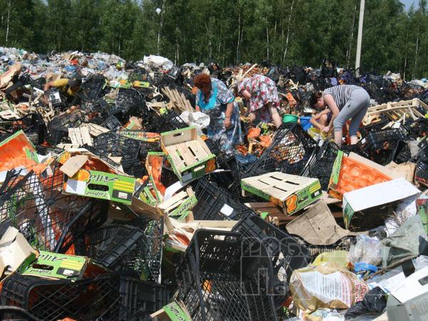 Уничтожение продуктов набирает обороты
