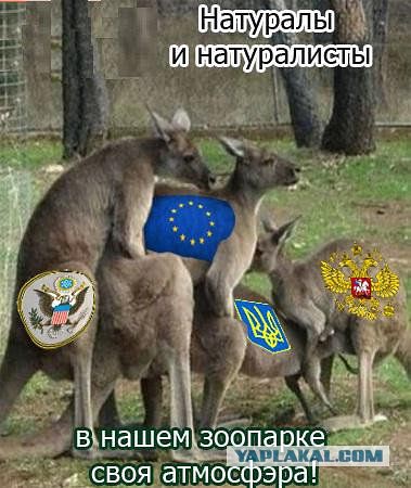 Лучшие картинки из ВК