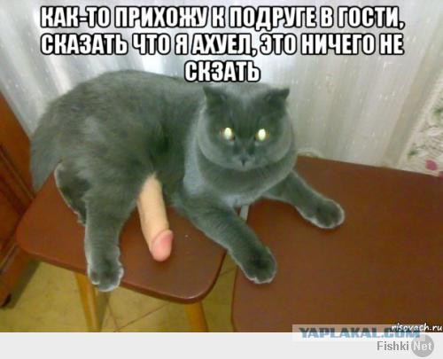 Картинки разные