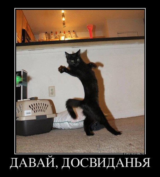 Картинки и демотиваторы
