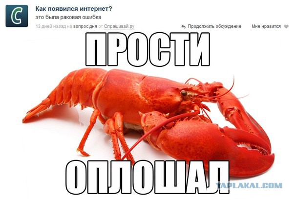 Картинки смешные и несмешные