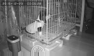 За что я люблю китайцев