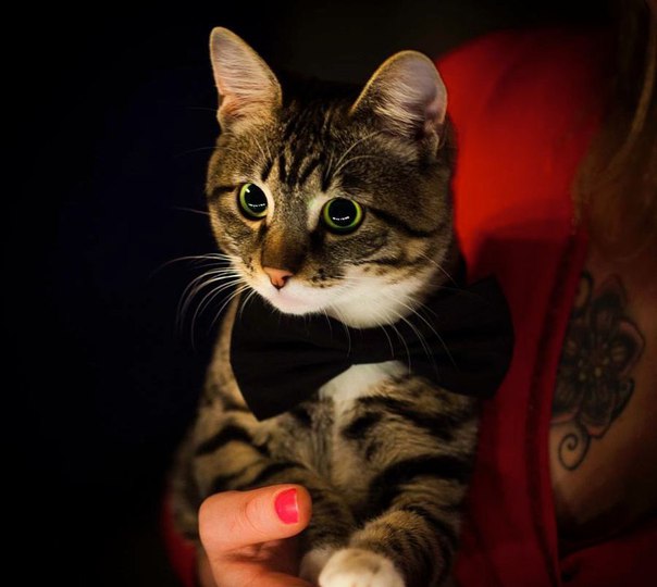 Разные картинки