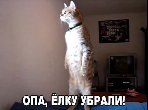 Картинки на утро вторника