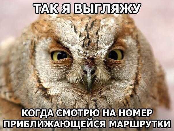 Подборка картинок из сети