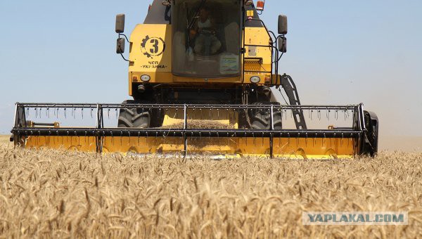 Обнаружено самое крупное золотоносное месторождение в мире