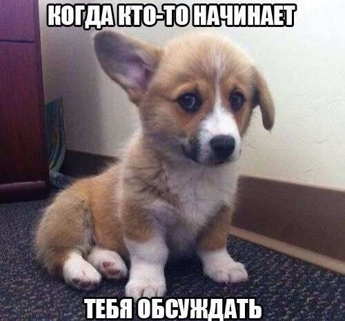 Подборка картинок 29.02.16