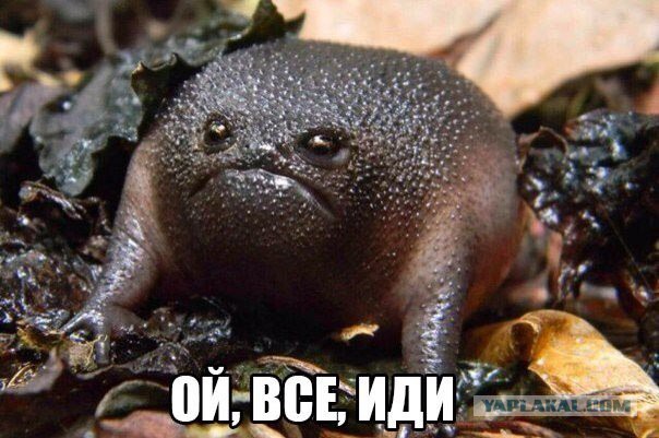 Завтра первое апреля!