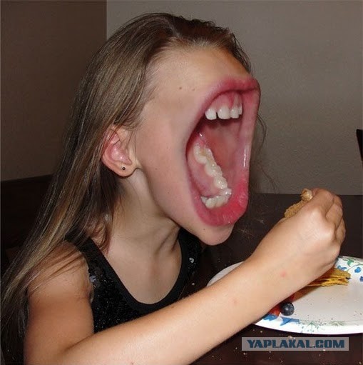 Электрошашлык party