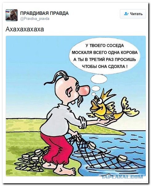 В Раде президента России обвинили в разрухе и хаосе, творящихся в Украине