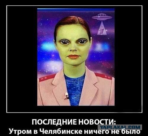 Необычная находка в лесу, есть идеи, что это?