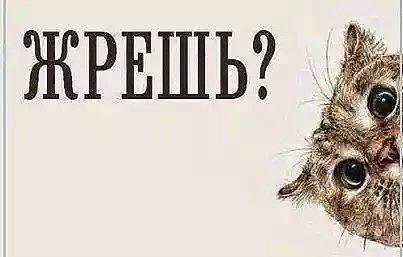 Картинки из интернетов