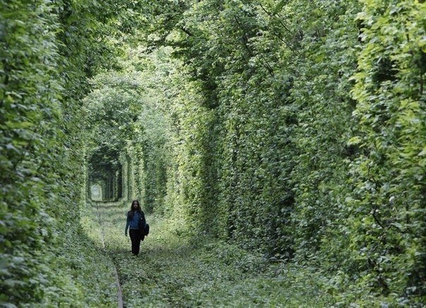 Моменты, запечатлённые на фото и просто позитив 5