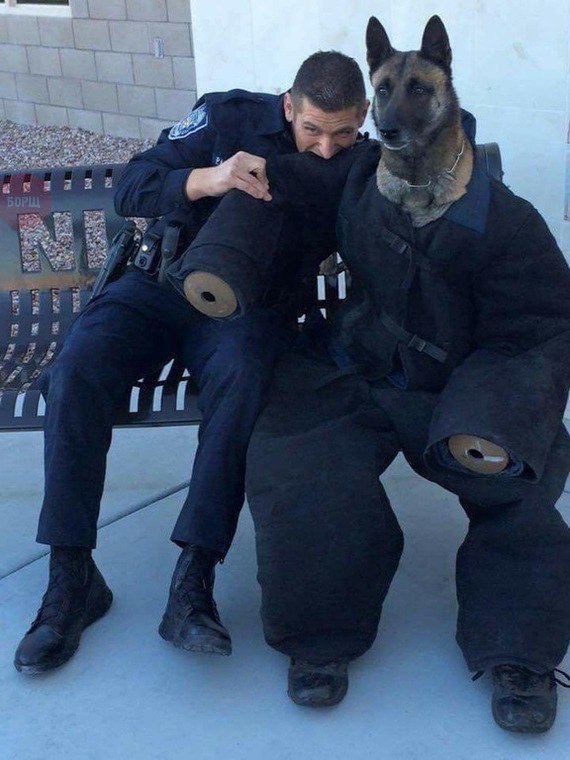 Подборка безудержного веселья