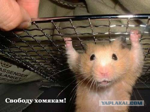 Подборка интересных и веселых картинок