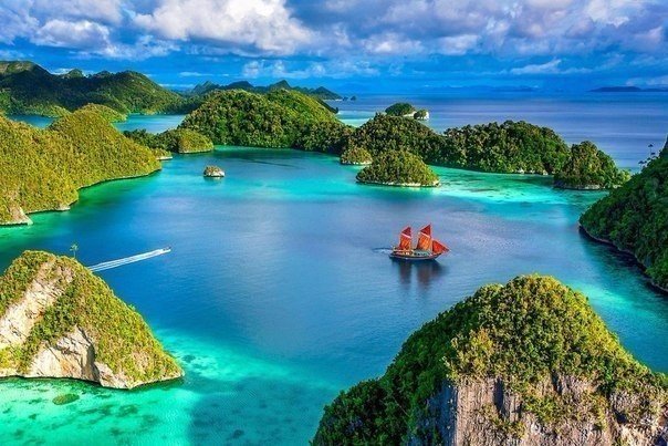 Моменты, запечатлённые на фото и просто позитив 5