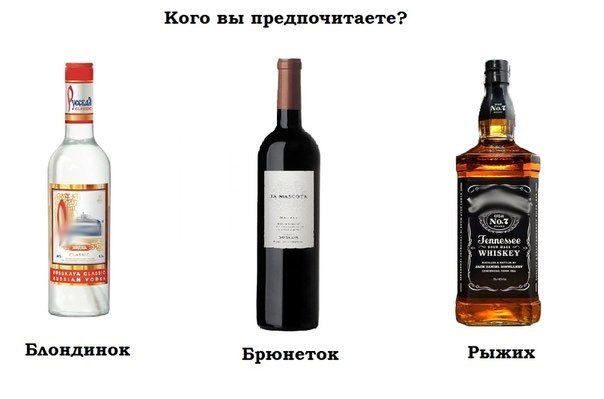 Подборка безудержного веселья