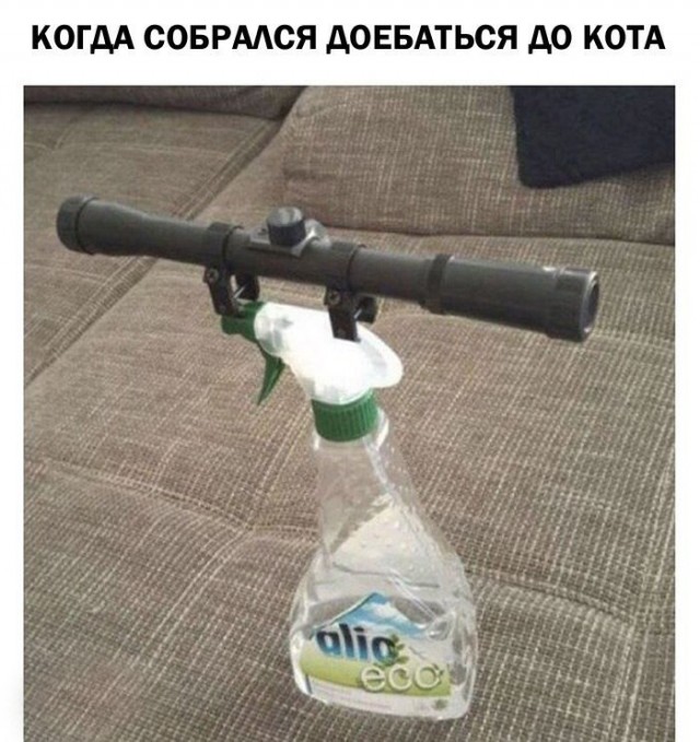 Подборка интересных и веселых картинок