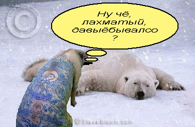 ШОШ так плющит?