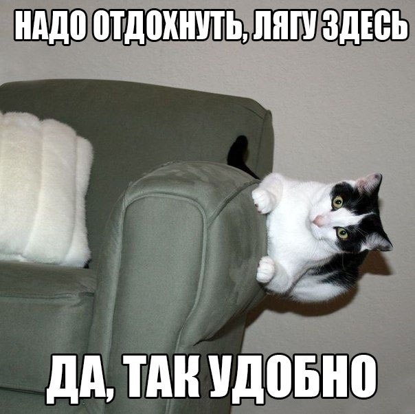 Ударная доза тупежа и деградации