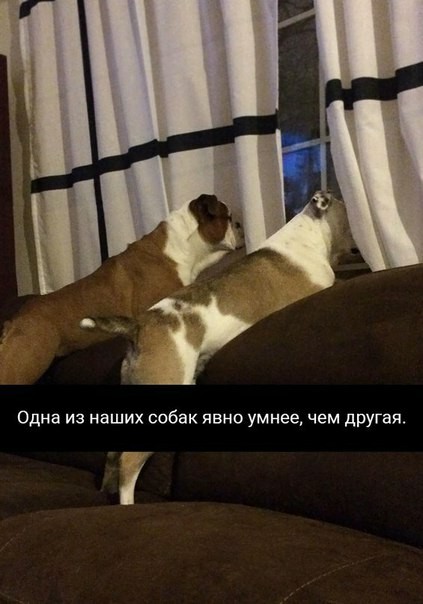 Немного веселых картинок из этих наших интернетов