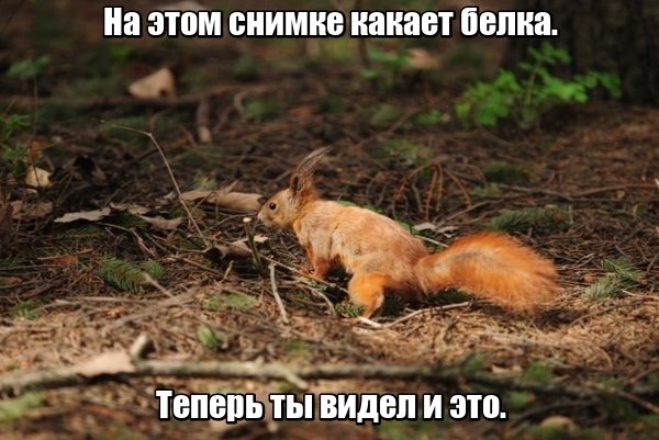 Нас преследует лайтовая воскресная деградация!