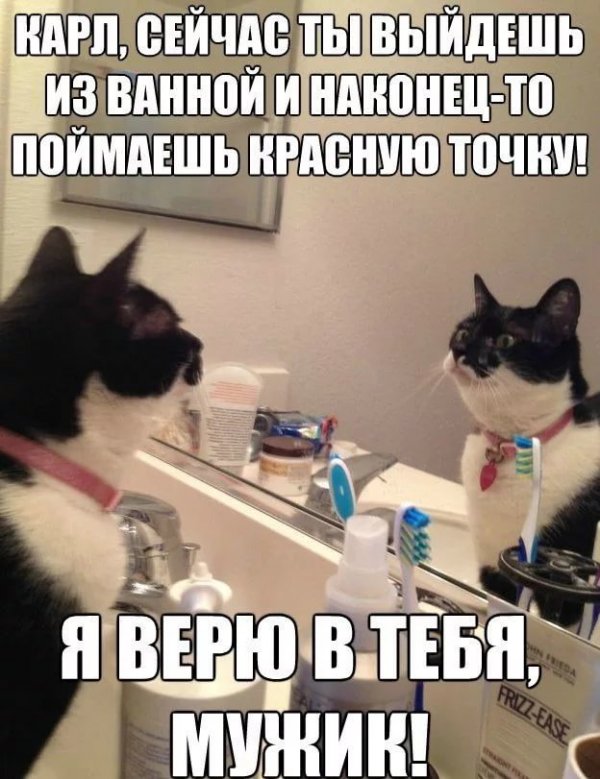 Подборка различных картинок