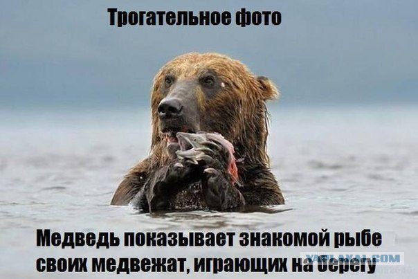 Снимки, которые растрогают даже того, у кого камень вместо сердца