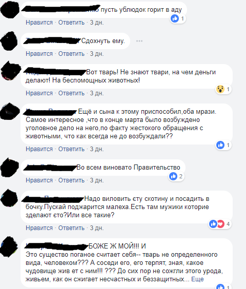 Живодер из Ростовской области или Санитар улиц?