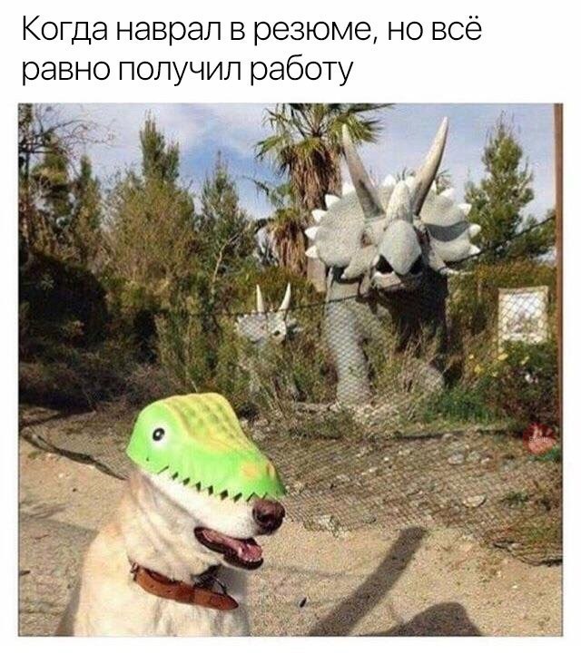 Нестандартный юмор