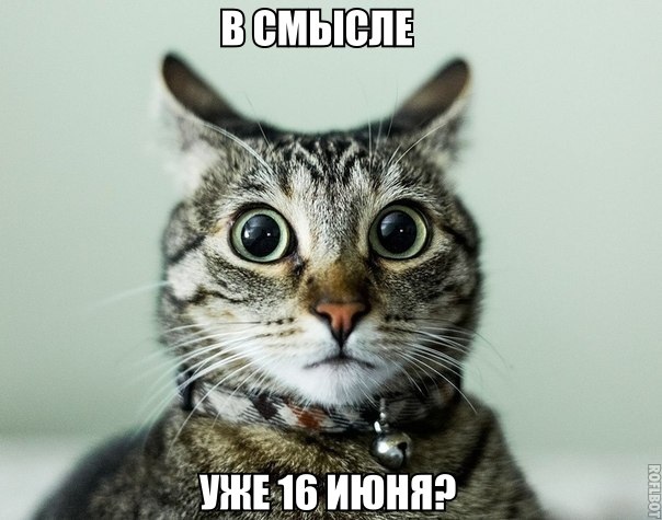 Немного весёлых картинок в эту субботу