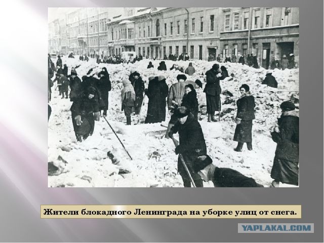 Что творится на дорогах Петербурга после снегопада