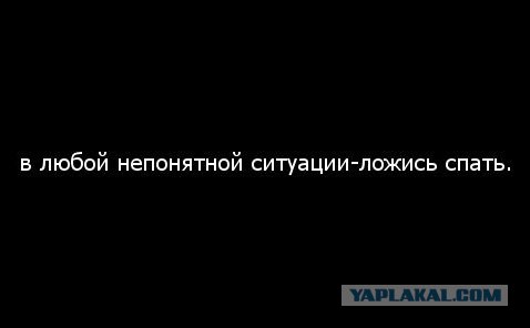 А чтобы вы сделали..
