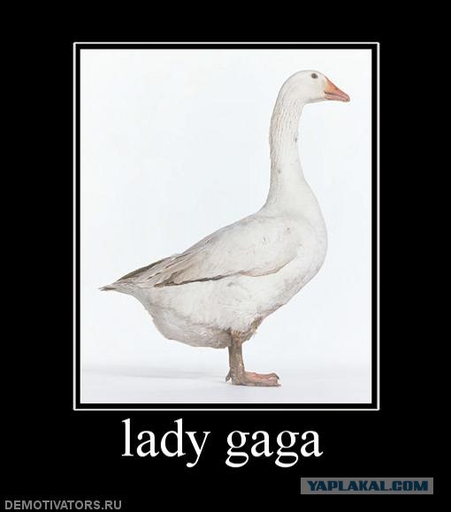 Выиграй 2 билета на концерт Lady Gaga в Нью-Йорке!