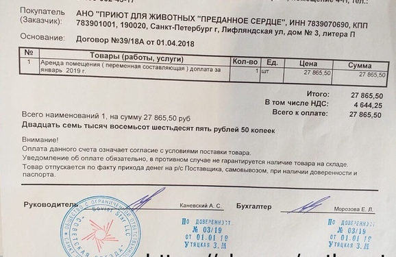 Помогите вернуть кота! Приют "Преданное сердце" украл кота и не отдает!-2