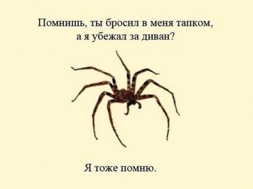 Бредзона 09.03.20