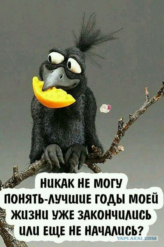 40 лет – это возраст Мужчины. Как их ощущаешь ты? Как "уже все"? Или как "все только начинается"?