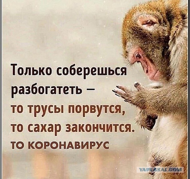14255096.jpg